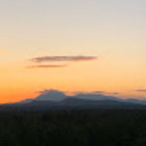 Meet your Posher, Sophia